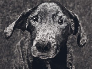 607b91ecc941298d57273ada41bfcf[1]