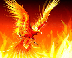 pheonix