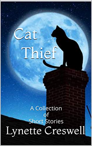 Cat thief Amazon cover